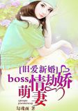 旧爱新婚：Boss情劫娇萌妻