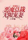 一见倾心：恶魔总裁无限宠妻