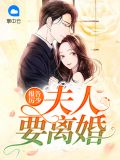 报告厉少：夫人要离婚厉风行