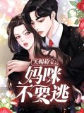 天赐萌宝：妈咪不要逃沈晴天