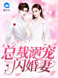 总裁溺宠闪婚妻司少琛