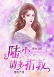 蜜宠无限：陆少请多指教