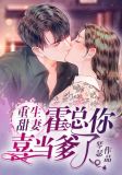重生甜妻：霍总，你喜当爹了