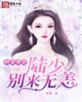 陆少别来无恙