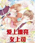 爱上漂亮女上司
