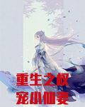 重生之权宠小仙妻