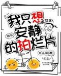 我只想安静的拍烂片