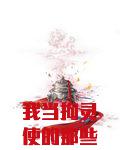 我当拘灵使的那些年