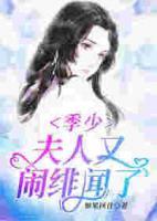 季少,夫人又闹绯闻了
