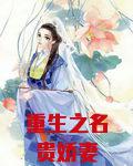 重生之名贵娇妻