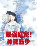最强盛宠！神秘魅少不好惹