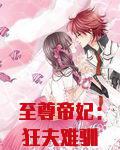 至尊帝妃：狂夫难驯
