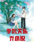 季沉关乐乔小说