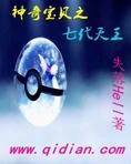 神奇宝贝之七代天王