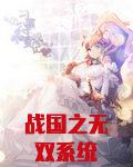 战国之无双系统