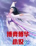 博弈傅华小说
