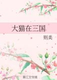 大猫在三国
