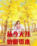 从今天开始做资本家