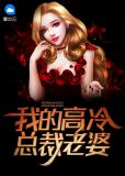 我的高冷总裁老婆苏梦颖