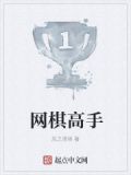 网棋高手