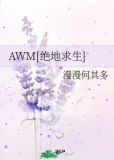 AWM[绝地求生]