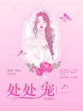 处处宠（完结本）