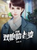 我的双胞胎老婆柳诗音