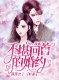 我那不堪回首的婚约叶天成