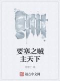要塞之贼主天下