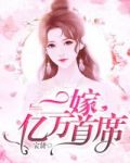 二嫁亿万首席