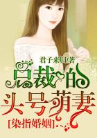 染指婚姻:总裁的头号萌妻