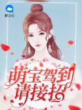 萌宝驾到请接招乔安然