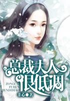 总裁夫人很低调