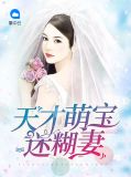天才萌宝迷糊妻闻可欣卓御凡