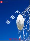 球在飞