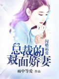 闪婚霸爱:总裁的双面娇妻