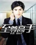 至尊高手