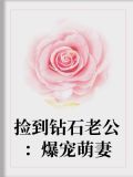 捡到钻石老公：爆宠萌妻