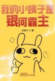 我的小姨子是银河霸主