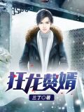 狂龙赘婿（又名：上门女婿、狂兵赘婿）