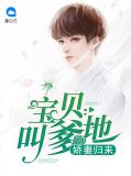 娇妻归来：宝贝叫爹地叶唯