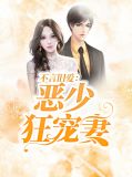 不言旧爱：恶少狂宠妻
