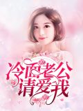 小说冷面老公爱上我免费阅读网