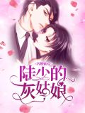闪婚蜜爱：陆少的灰姑娘乔伊陆景云