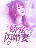 娇宠闪婚妻