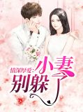 情深厚爱：小妻别躲了