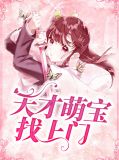 天才萌宝找上门贺暖暖