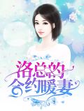 洛总的合约暖妻宁姜洛寒商