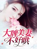 大牌美妻不好哄尹韵雪傅景烨