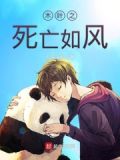 木叶之死亡如风